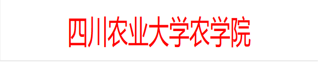 2026世界杯官方合作网站